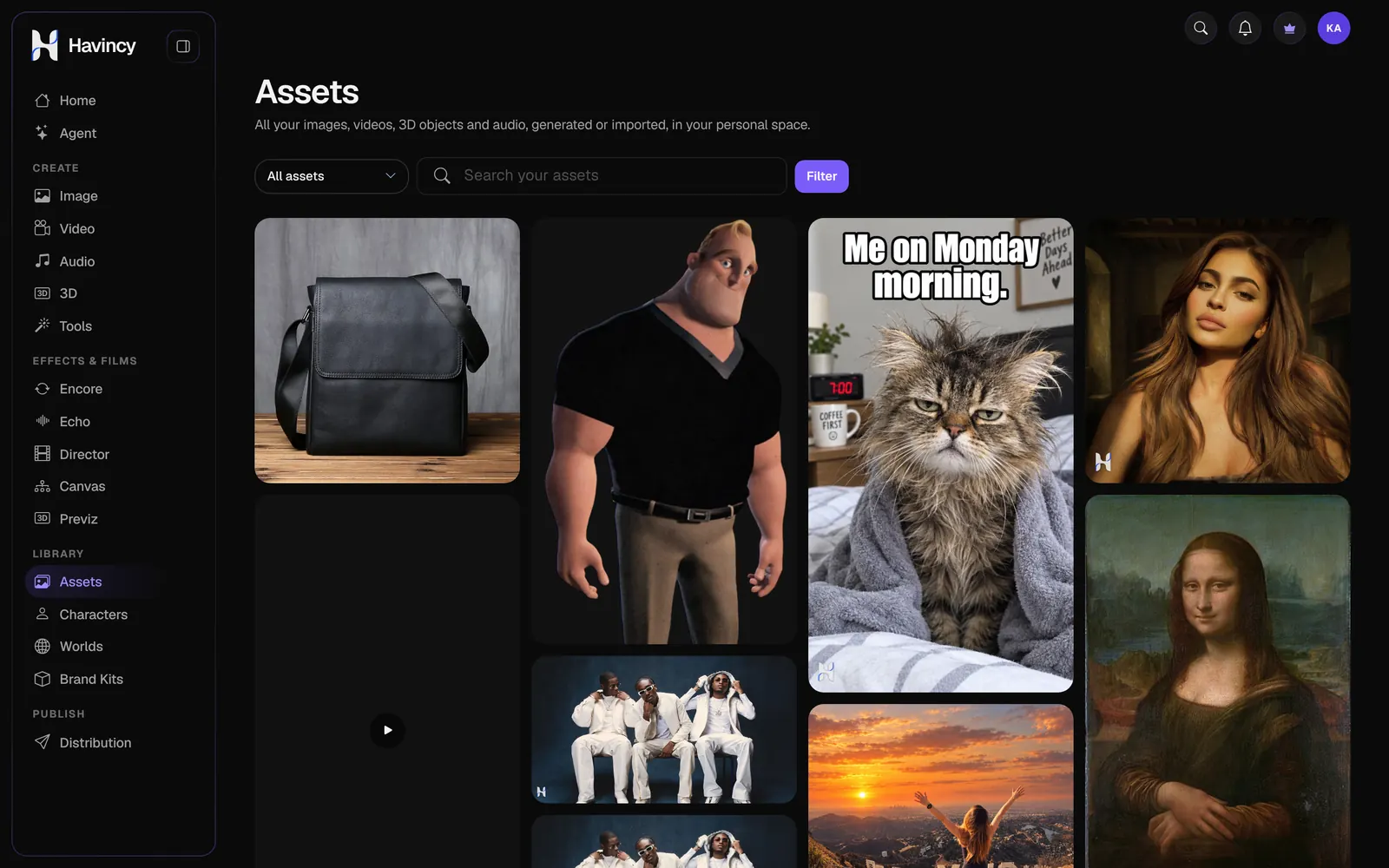 Havincy asset library with AI images and videos